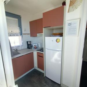 een kleine keuken met een koelkast en een wastafel bij Studio les pieds dans l'eau App n°7 in Le Barcarès