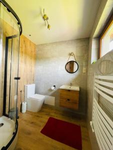 a bathroom with a toilet and a sink and a shower at Apartamenty u Ptaszka in Zakopane +19 photos
