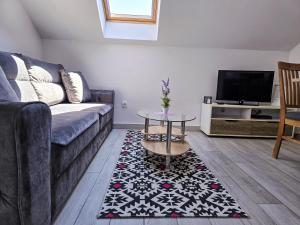 TV a/nebo společenská místnost v ubytování Stone House Varos Apartments
