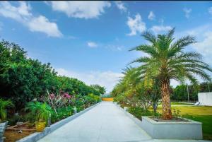 a sidewalk lined with palm trees and plants at Sree Lalitha Resort and Convention in Shamirpet