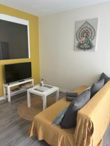 a living room with a couch and a flat screen tv at JC Appart in Millau