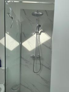 W łazience z przeszklonymi drzwiami znajduje się prysznic. w obiekcie grand duplex rénové w mieście Huy
