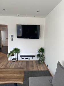 TV a/nebo společenská místnost v ubytování grand duplex rénové