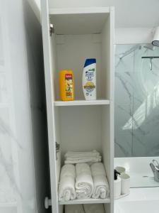 Koupelna v ubytování grand duplex rénové