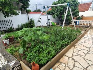 un jardín con columpio y algunas plantas en BM PAVILLONS, en Goussainville