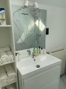 Koupelna v ubytování grand duplex rénové