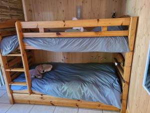 two bunk beds in a wooden room with a teddy bear at L'oree des Bornes-appartement avec piscine in Évires