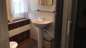 a bathroom with a sink and a shower at Chalupa Magdaléna in Terchová