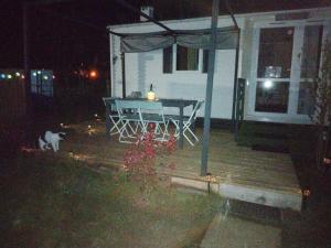 Eine Katze, die nachts auf dem Deck eines Hauses sitzt in der Unterkunft Chez Elvis et Agnès 
