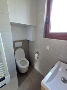 a small bathroom with a toilet and a sink at Le chamois mont d'or in Métabief