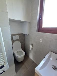 a small bathroom with a toilet and a sink at Le chamois mont d'or in Métabief