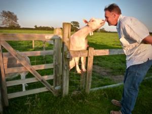 Imagine din galeria proprietății Caalm Camp în Stour Provost +21 fotografii