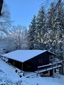 Gallery image of Retour aux Sources in Hastière-par-delà