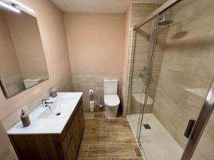 a bathroom with a toilet and a sink and a shower at Apartamenticos Libertad I in Zaragoza