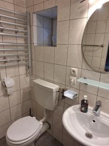 a bathroom with a toilet and a sink at Zirnberg Appartements in Flattach