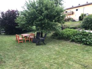 einen Garten mit einem Tisch, Stühlen und einem Baum in der Unterkunft Ferienwohnung nähe Spielplatz in Freyung