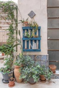 A garden outside Sant'Agostino Apartment with Terrace by Wonderful Italy