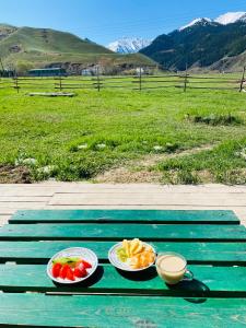 zwei Schalen Obst auf einem grünen Picknicktisch in der Unterkunft Altay Village Hotel 