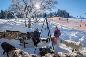 Alpe Oberstdorf v zimě