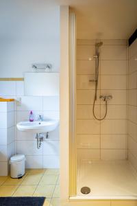 ein Bad mit einer Dusche, einem Waschbecken und einem WC in der Unterkunft Waldhof-Iphofen in Iphofen