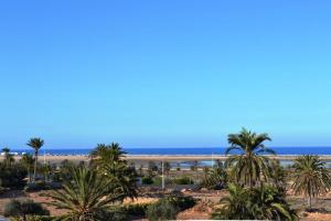 een uitzicht op een strand met palmbomen en de oceaan bij Love in Midoun