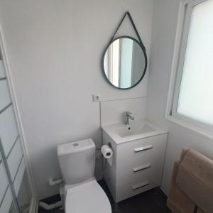 ein Badezimmer mit einem weißen WC und einem Spiegel in der Unterkunft Duquesa Harbour Club Aparthotel in Manilva
