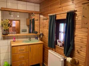 un bagno con lavandino e specchio di Ferienwohnung Schreiner a Wernstein am Inn
