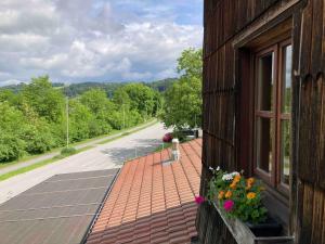 Paesaggio naturale nelle vicinanze dell'appartamento