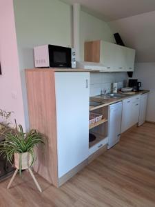 a kitchen with a white refrigerator and a microwave at Apartmaji Magda in Zgornje Gorje