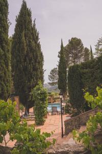 a garden with trees and a pool in the distance at Hotel Boutique Palacio De La Duquesa in Ronda