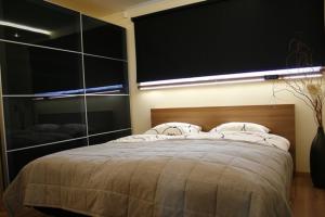 Postel nebo postele na pokoji v ubytování Apartamenty Wiślany Brzeg