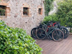 a group of bikes parked next to a stone wall at B&B Terre Di Bea in Pederobba