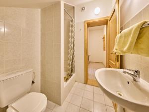 Un baño de Apartment Stříbrný pramen-4 by Interhome
