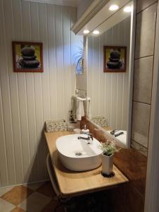 a bathroom with a sink and a mirror at Hársfa apartman in Makó