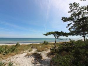 a beach with trees and the ocean in the background at Holiday Home Betti - all inclusive - 700m from the sea by Interhome in Vester Sømarken