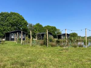 un grupo de casas en un campo con hierba en Vakantiepark De Kremmer en Gasselte