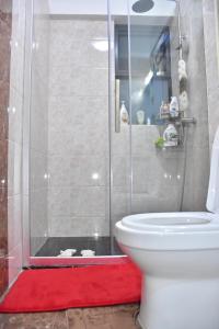 a bathroom with a shower and a toilet on a red rug at The Wills 3 Bedroom Apartment in Nairobi in Nairobi