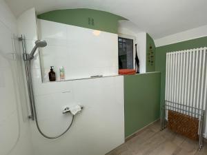 a shower in a bathroom with green and white walls at Villa Krafft Bed&Breakfast in Waake