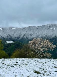 einen schneebedeckten Hügel mit Bergen im Hintergrund in der Unterkunft B&B Terre Di Bea in Pederobba