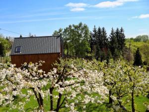 une grange et des arbres avec des fleurs blanches dans un champ dans l'établissement Czereśniowe Wzgórze Sandomierz, à Sandomierz