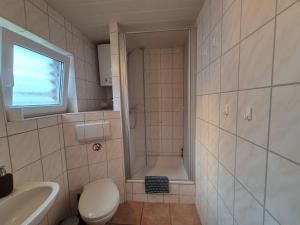 a bathroom with a shower and a toilet and a sink at Eichholz-Hof kleines Ferienhaus Objekt-ID 15465-8 in Waren