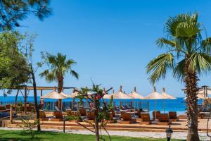 a resort with chairs and umbrellas on the beach at Sea Valley Lodge in Faralya