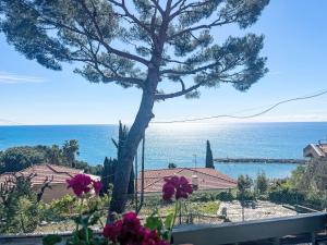 Táj Show holiday homes közelében