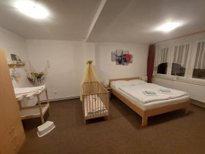 1 dormitorio con 1 cama y lavamanos. en Penzion PANORAMA Janovičky, en Broumov