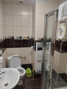 La salle de bains est pourvue de toilettes, d'un lavabo et d'une douche. dans l'établissement Penzion PANORAMA Janovičky, à Broumov