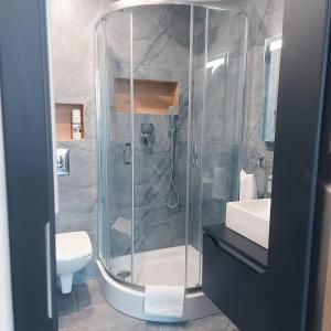 een badkamer met een douche, een toilet en een wastafel bij Apartament typu studio Morski Sen-centrum in Mielno