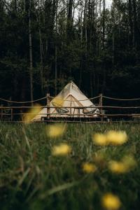 Příroda nedaleko luxury tent