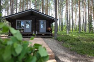 uma pequena cabana na floresta com uma passagem de madeira em Putkisalon Kartano Hellahuoneisto em Rantasalmi