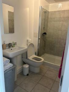 a bathroom with a toilet and a sink and a shower at Indomitable in Colindale