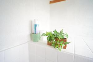 un baño con una planta y un tubo de pasta de dientes en AKARIYA Home&Hostel, en Karatsu